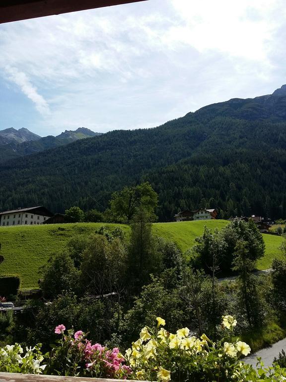 Haus Pinnistor Neustift im Stubaital Kültér fotó