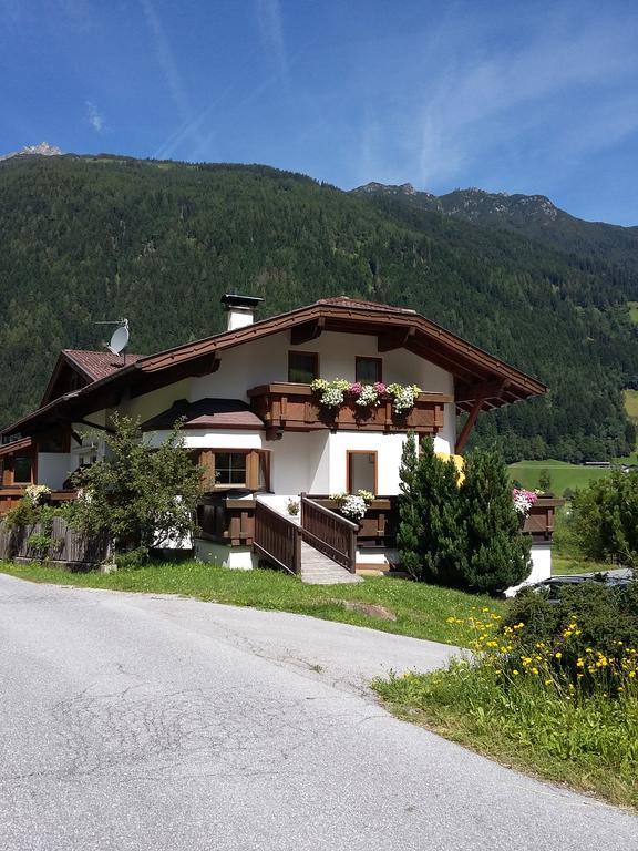 Haus Pinnistor Neustift im Stubaital Kültér fotó